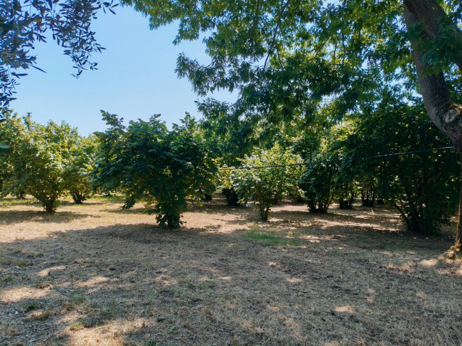 Rustico in vendita a Soriano nel Cimino