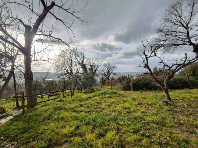 Appartamento in vendita a Giove