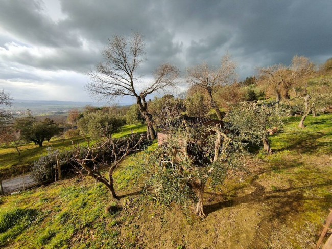 Appartamento in vendita a Giove