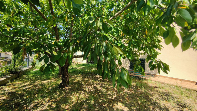 Villetta Bifamiliare in vendita a Amelia