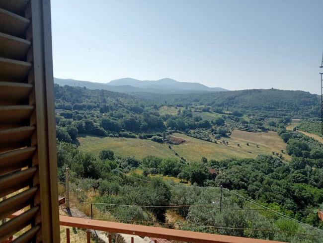 Cielo Terra in vendita a Narni