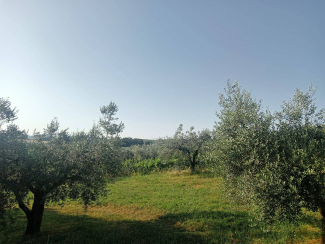 Casa singola in vendita a Narni