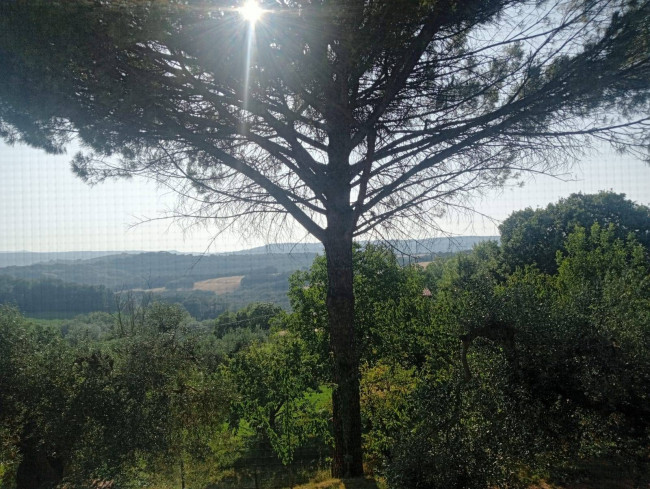 Casa singola in vendita a Narni