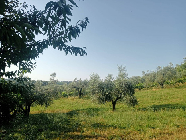 Casa singola in vendita a Narni