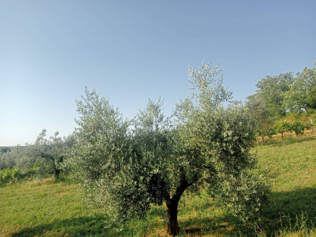 Casa singola in vendita a Narni