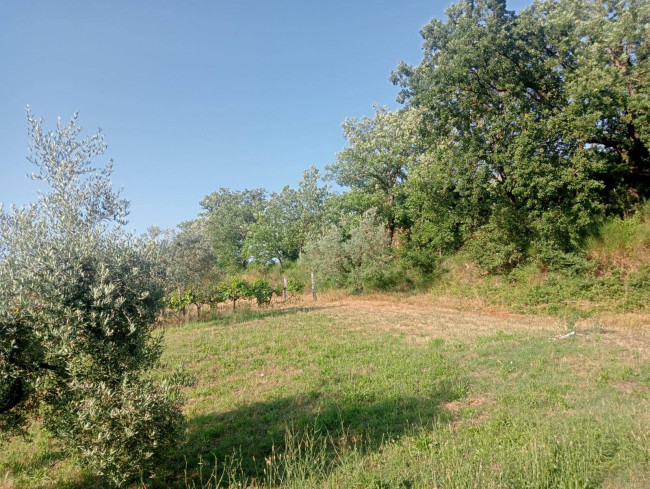 Casa singola in vendita a Narni