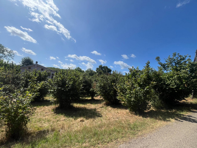 Terreno Agricolo in vendita a Soriano nel Cimino