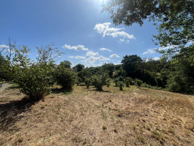 Terreno Agricolo in vendita a Soriano nel Cimino