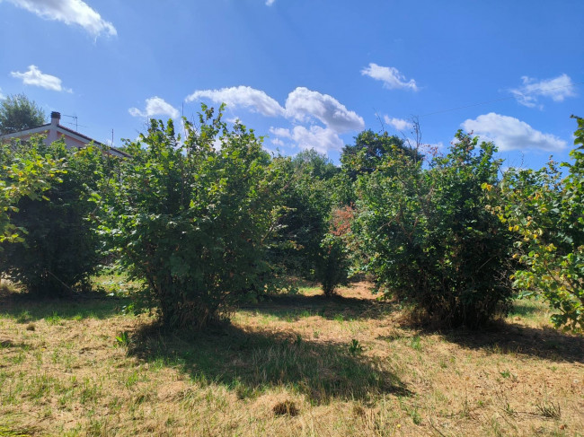 Terreno Agricolo in vendita a Soriano nel Cimino