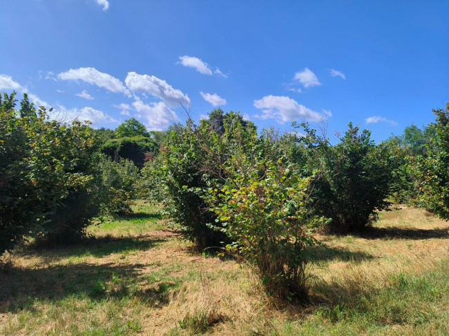 Terreno Agricolo in vendita a Soriano nel Cimino
