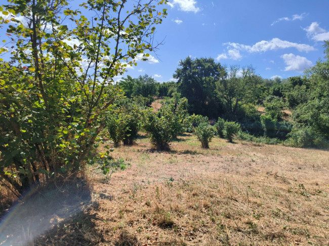Terreno Agricolo in vendita a Soriano nel Cimino