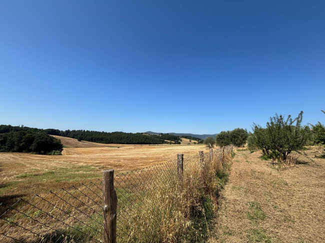 Casale in vendita a Montecastrilli