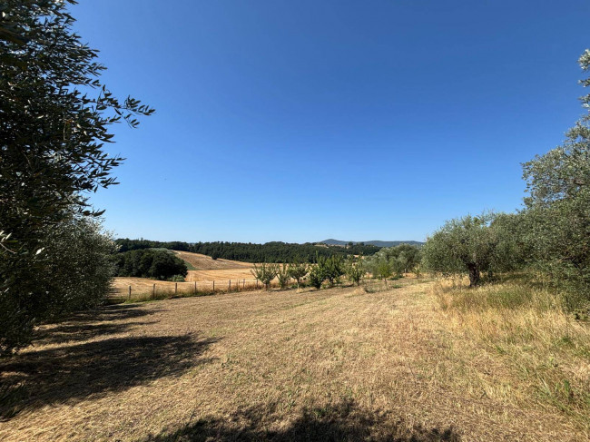 Casale in vendita a Montecastrilli