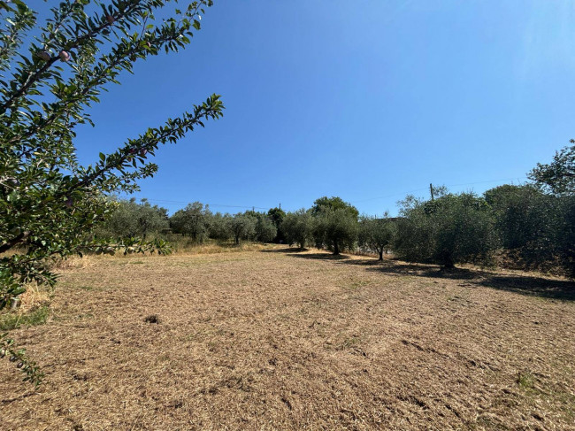 Casale in vendita a Montecastrilli