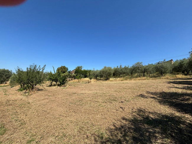 Casale in vendita a Montecastrilli