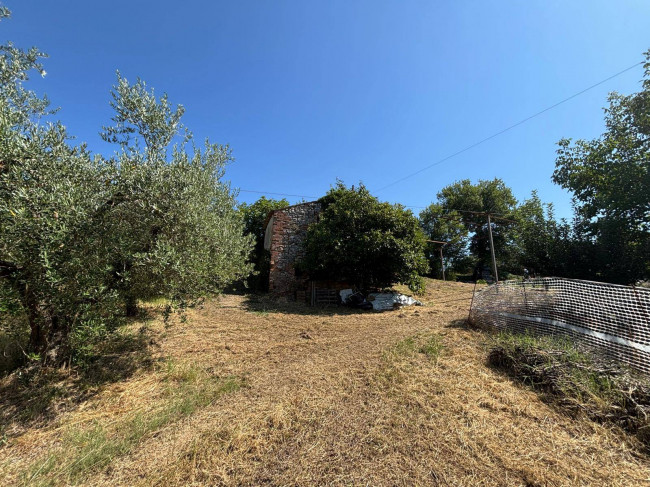 Casale in vendita a Montecastrilli