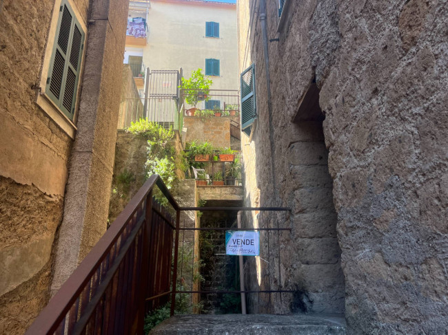 Cantina in vendita a Vignanello