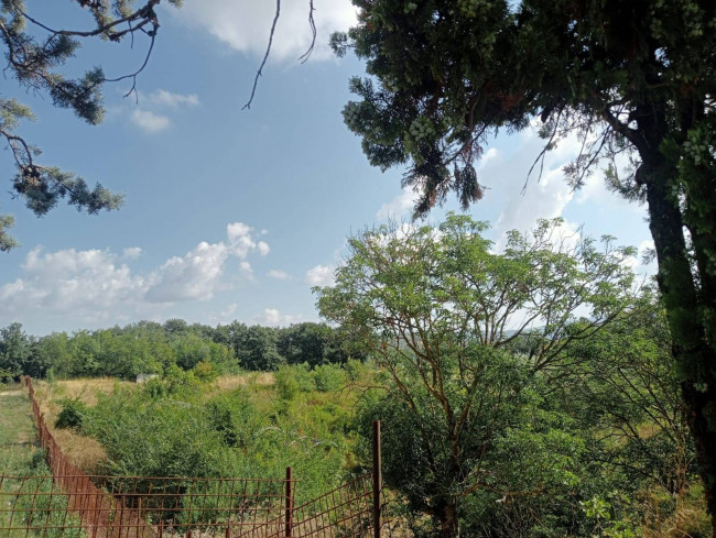 Terreno edificabile in vendita a Otricoli