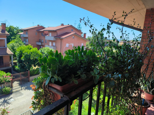 Appartamento in vendita a Vignanello