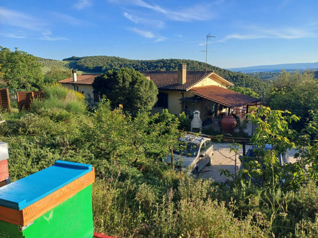 Villetta Bifamiliare in vendita a Amelia