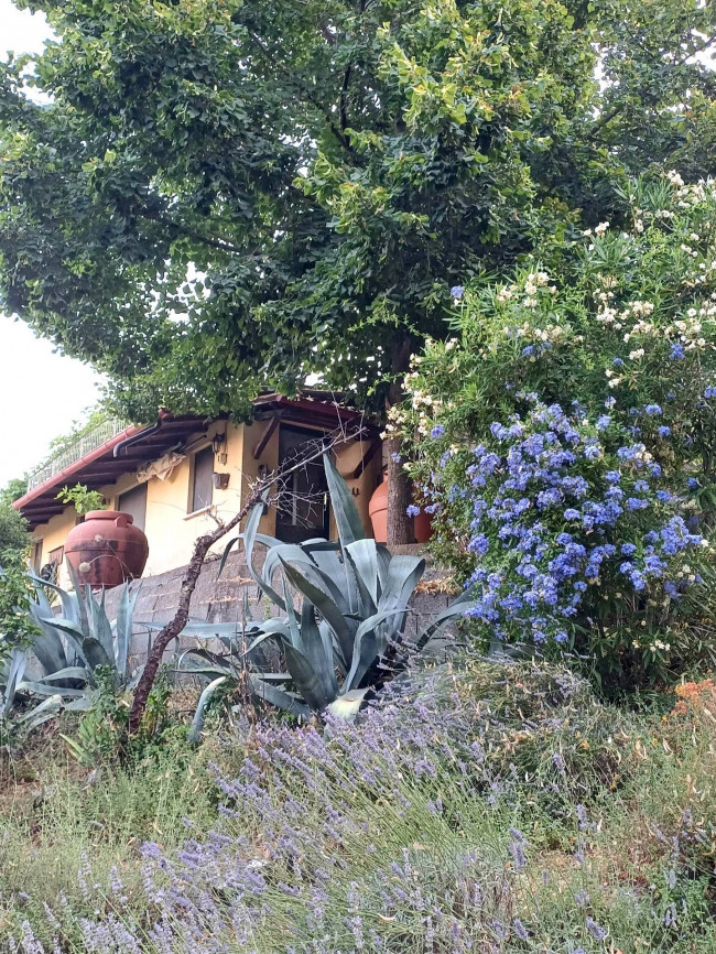 Villetta Bifamiliare in vendita a Amelia