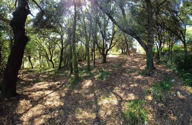Villetta Bifamiliare in vendita a Amelia