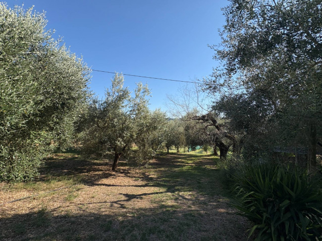 Villetta Bifamiliare in vendita a Narni
