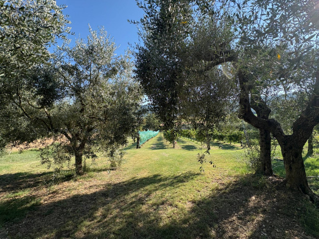 Villetta Bifamiliare in vendita a Narni
