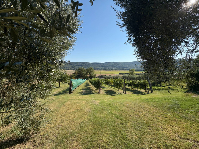 Villetta Bifamiliare in vendita a Narni