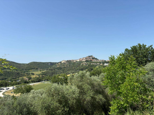 Casale in vendita a Amelia