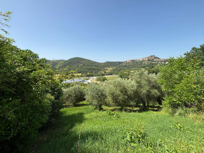 Casale in vendita a Amelia