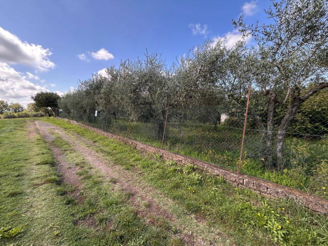 Terreno edificabile in vendita a Vasanello