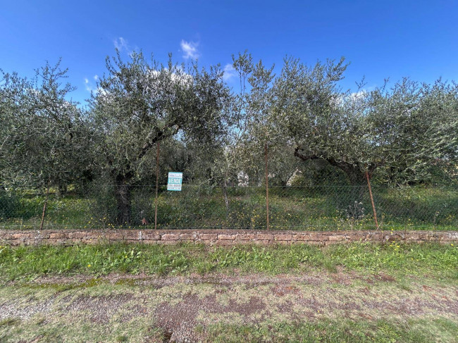 Terreno edificabile in vendita a Vasanello