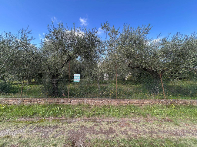 Terreno edificabile in vendita a Vasanello