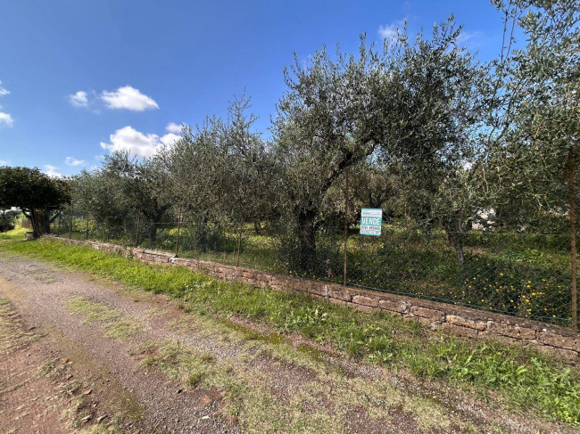 Terreno edificabile in vendita a Vasanello