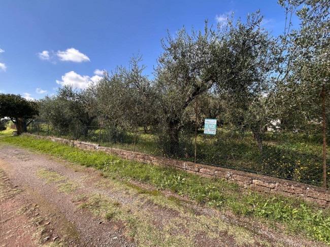 Terreno edificabile in vendita a Vasanello