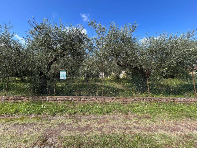 Terreno edificabile in vendita a Vasanello