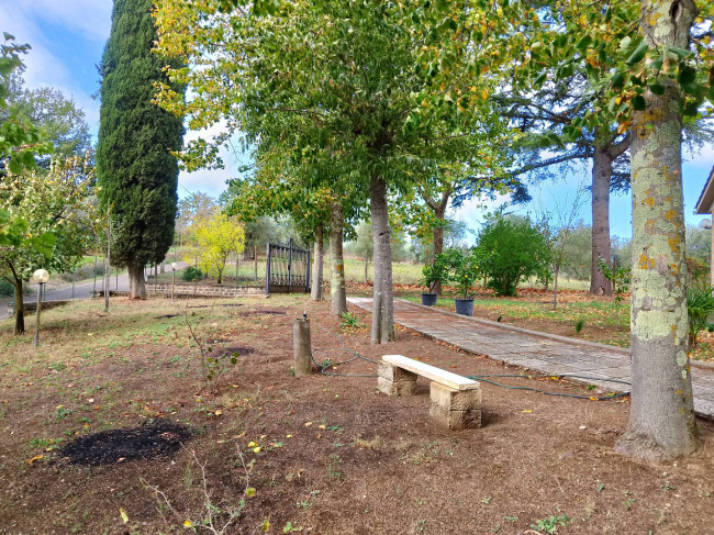 Casa singola in vendita a Graffignano