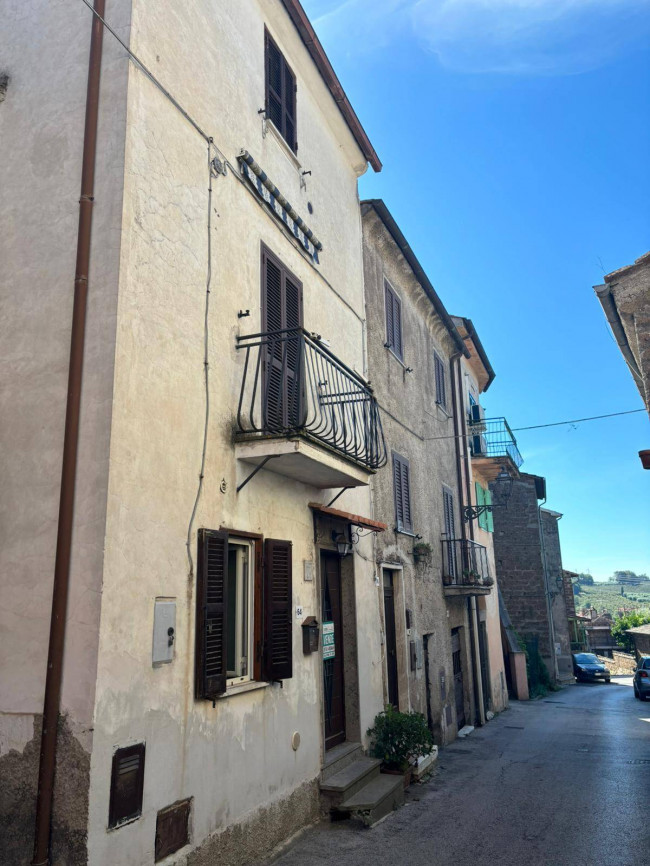 Cielo Terra in vendita a Bassano in Teverina