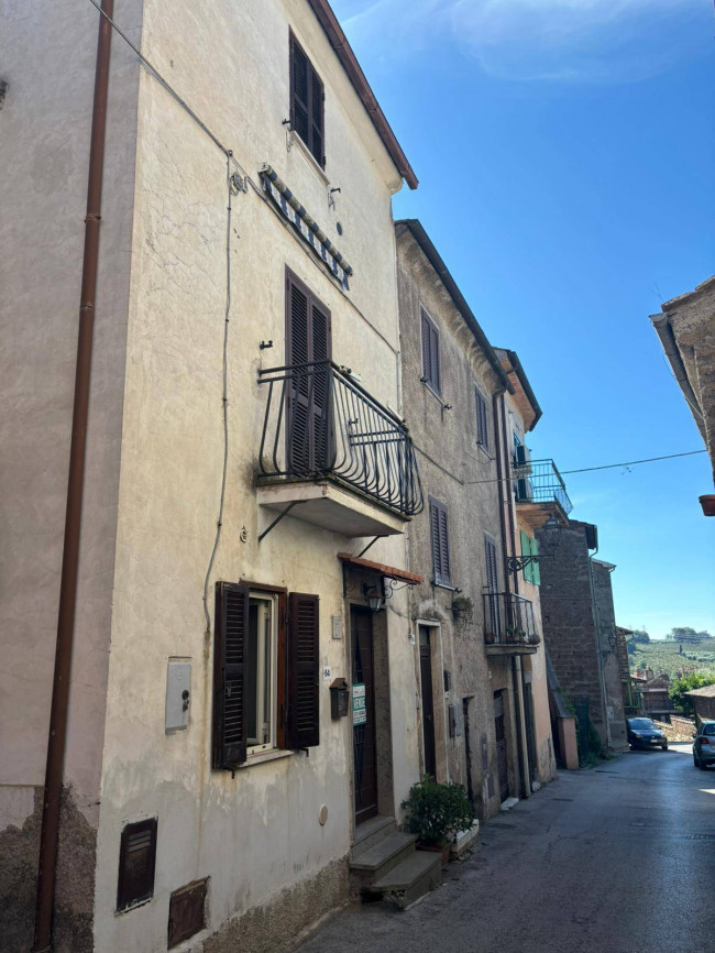 Cielo Terra in vendita a Bassano in Teverina