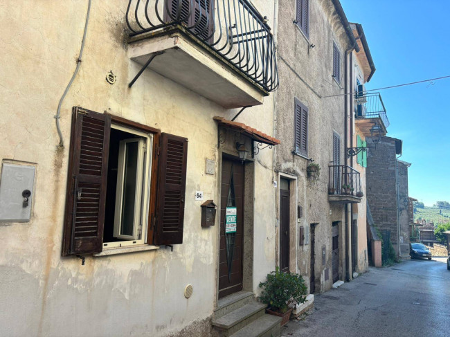 Cielo Terra in vendita a Bassano in Teverina