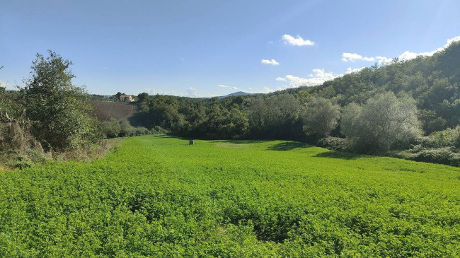 Casale in vendita a Avigliano Umbro