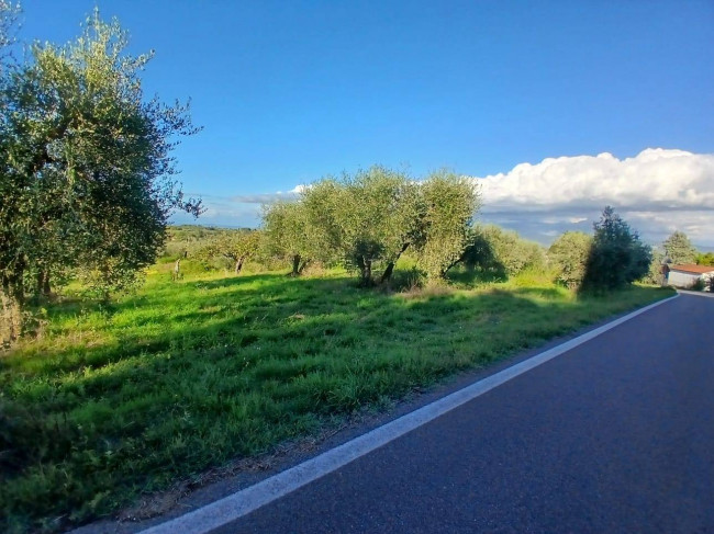 Terreno Agricolo in vendita a Viterbo