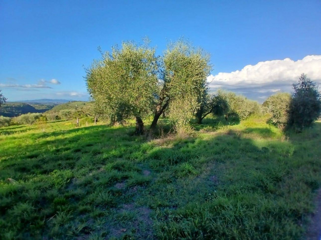 Terreno Agricolo in vendita a Viterbo