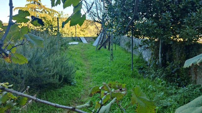 Appartamento in affitto a Amelia