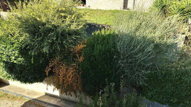 Appartamento in vendita a Amelia