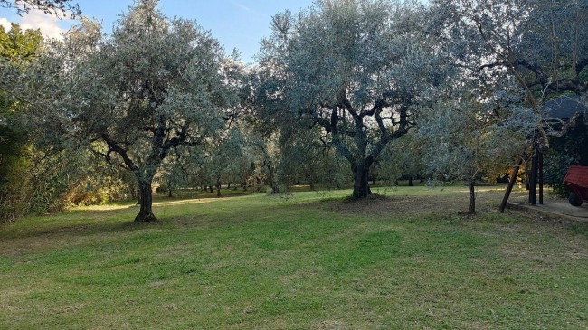 Casale in vendita a Amelia