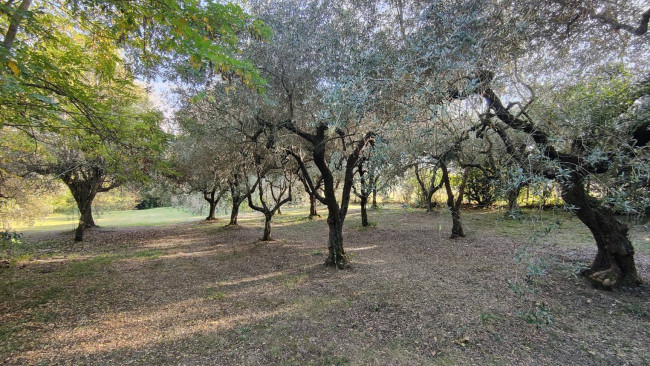 Casale in vendita a Amelia