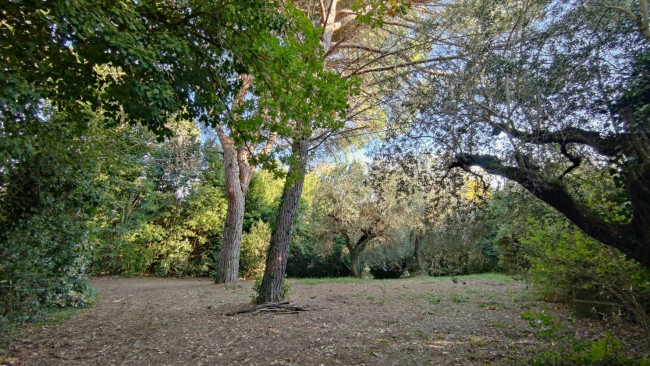 Casale in vendita a Amelia