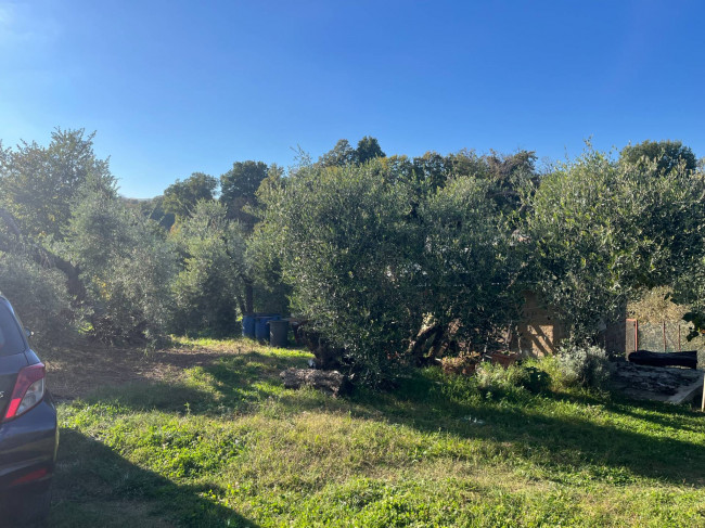 Terreno Agricolo in vendita a Vignanello